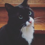 image.jpeg